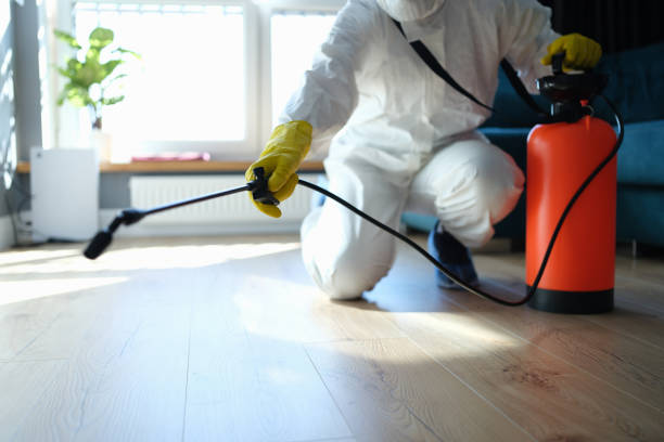Trusted Trauma Scene Cleanup service in Clinton, MD - Four Month Blood Cleanse